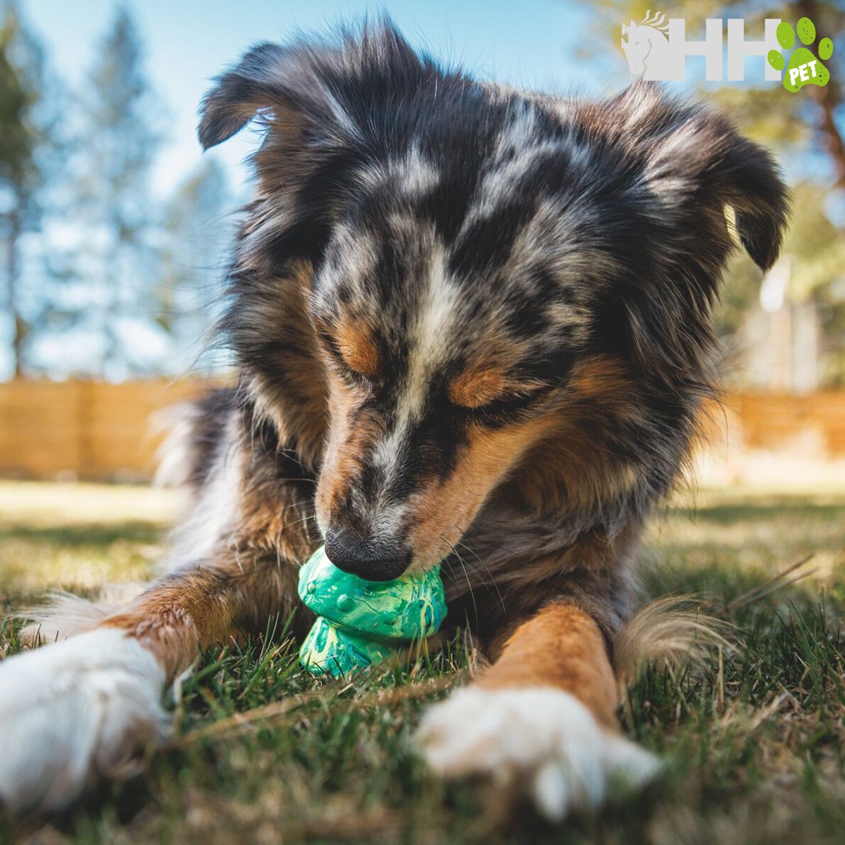 JUGUETE PARA LANZAR RUFFWEAR PARA PERROS TOADSTOOL - Imagen 6