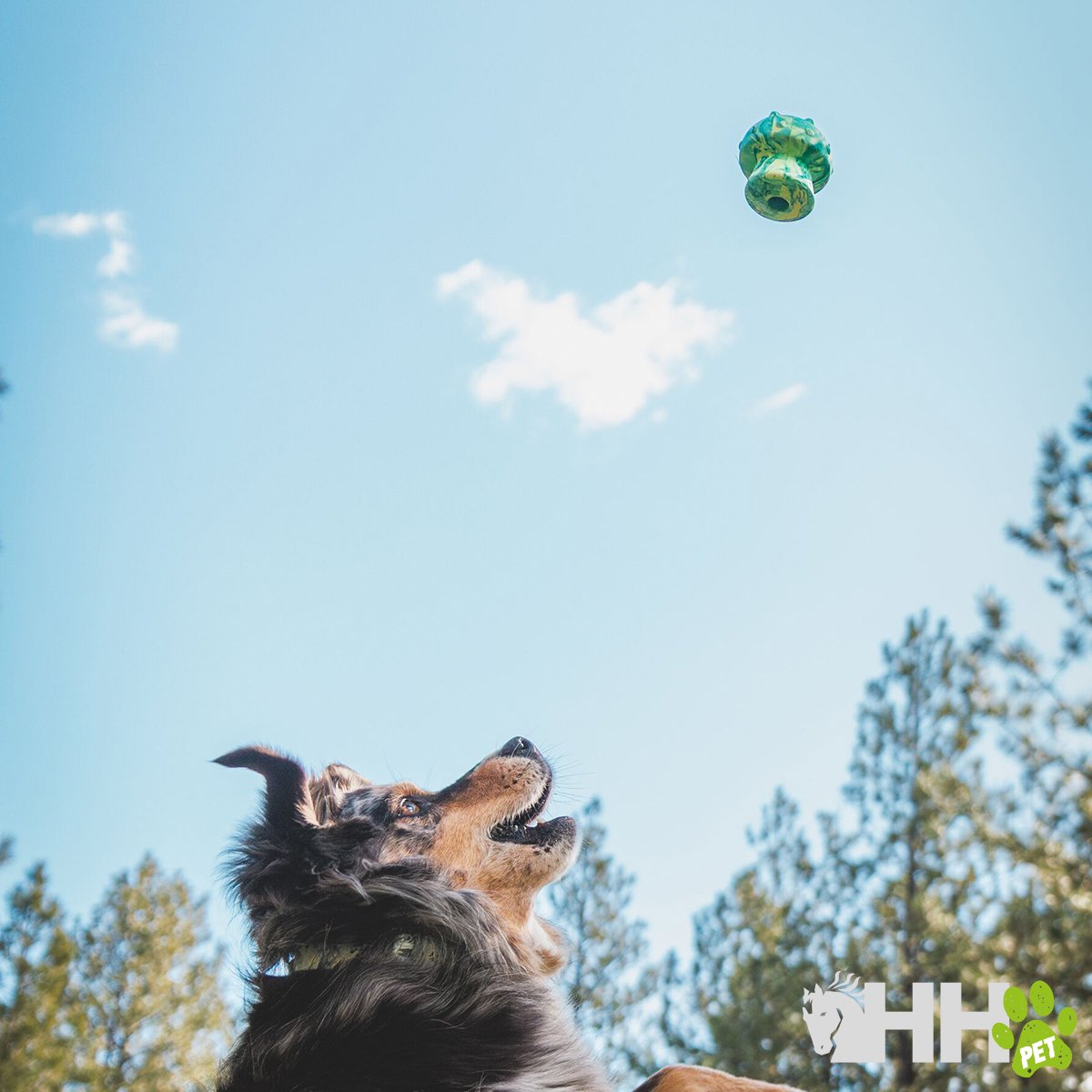 JUGUETE PARA LANZAR RUFFWEAR PARA PERROS TOADSTOOL - Imagen 3