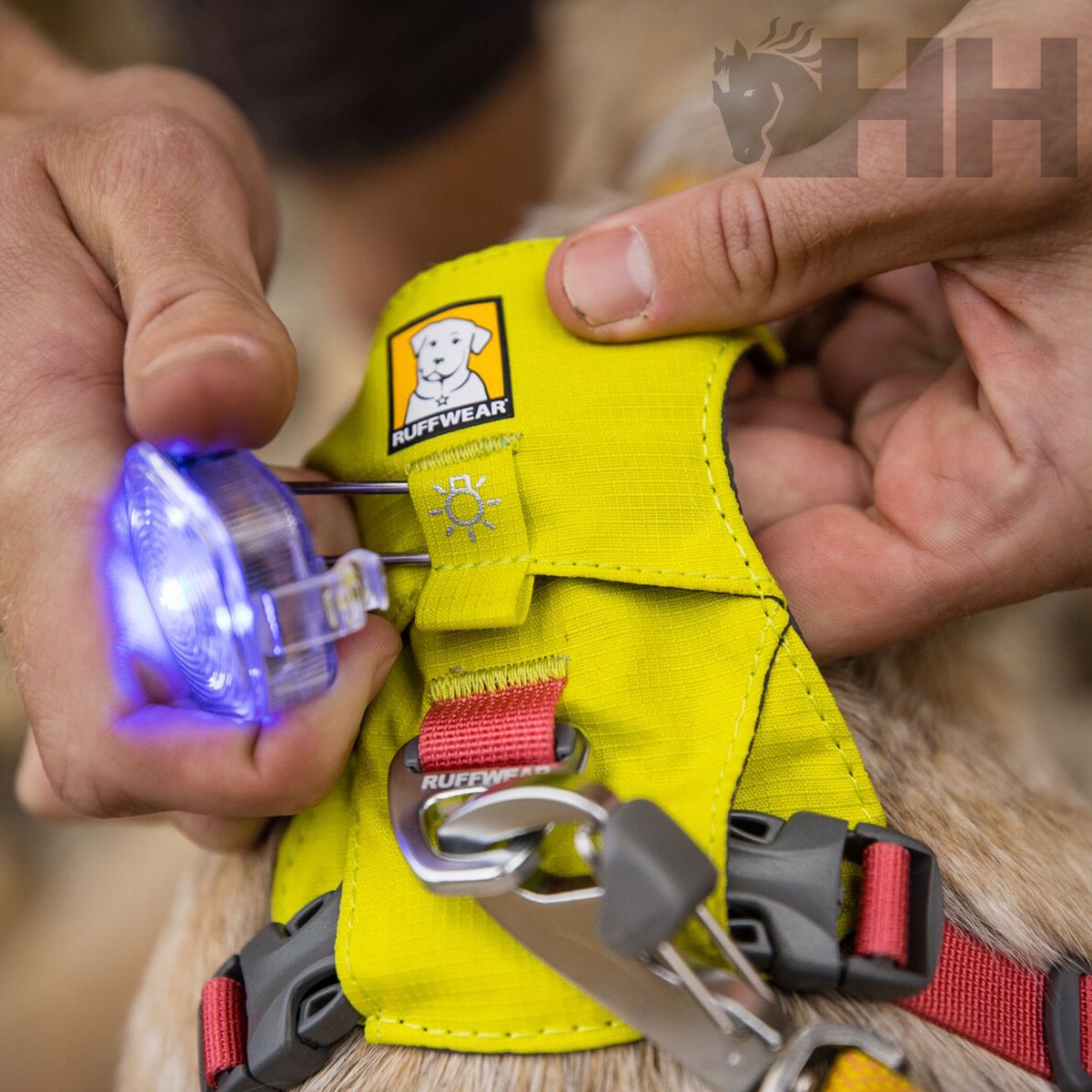 LUZ DE SEGURIDAD RUFFWEAR PARA PERROS BEACON - Imagen 5