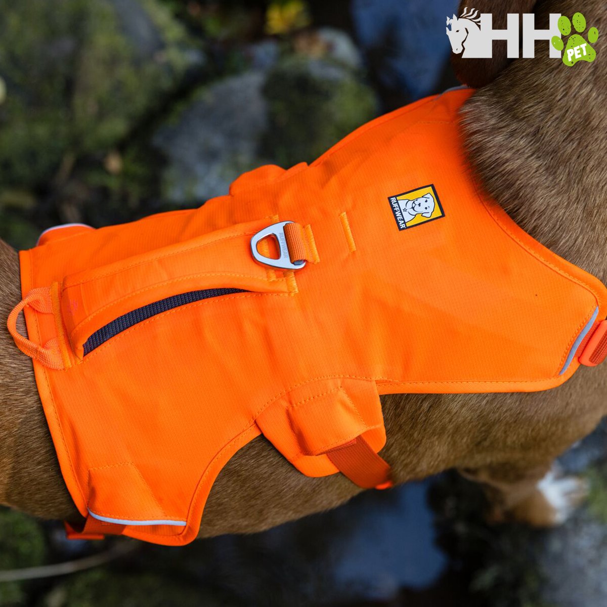 ARNES CON ASA RUFFWEAR PARA PERROS WEB MASTER (NEW) - Imagen 5