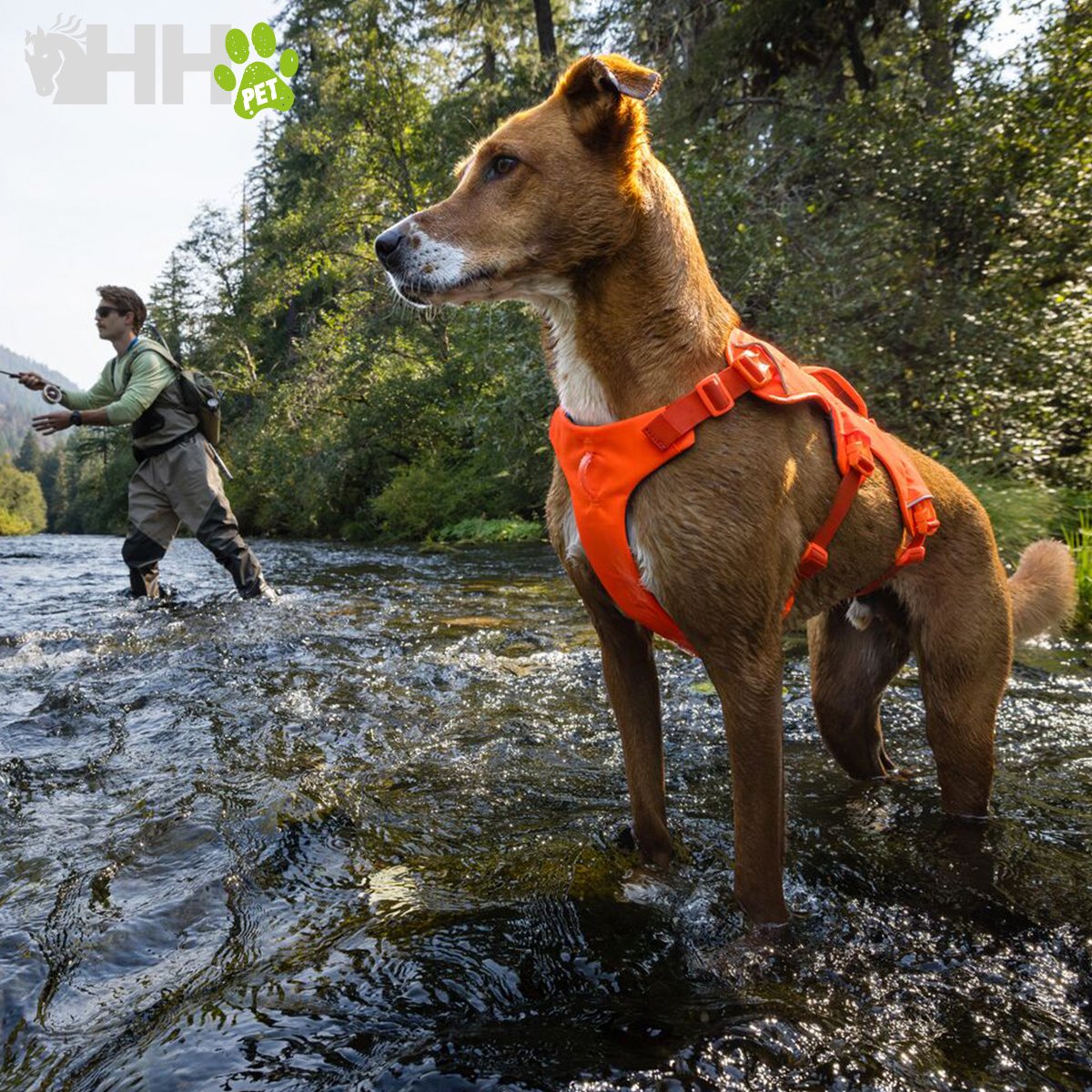 ARNES CON ASA RUFFWEAR PARA PERROS WEB MASTER (NEW) - Imagen 8
