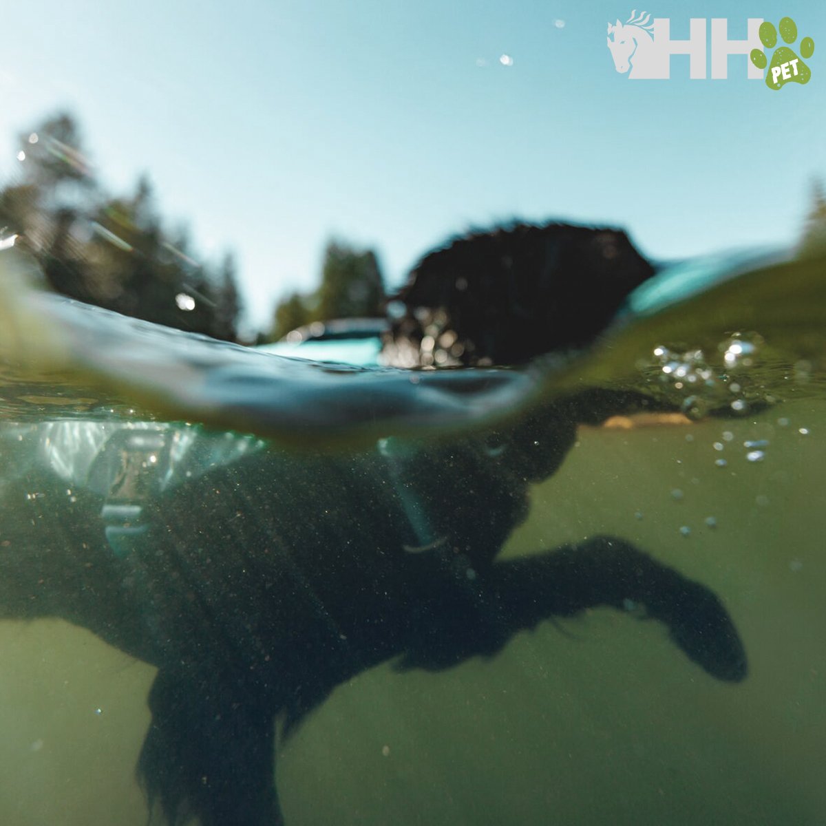 CHALECO SALVAVIDAS RUFFWEAR PARA PERROS CONFLUENCE - Imagen 2