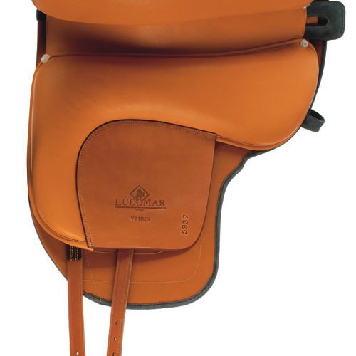 SILLA ESTILO ESPAÃ.LUDOMAR VENUS FLEXIBLE SERRAJE BIFALDON - Imagen 4