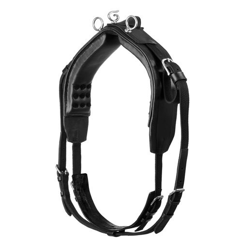 Ref 04145e