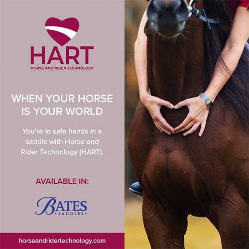 SILLA ING.DOMA CLASICA BATES DRESSAGE - Imagen 3