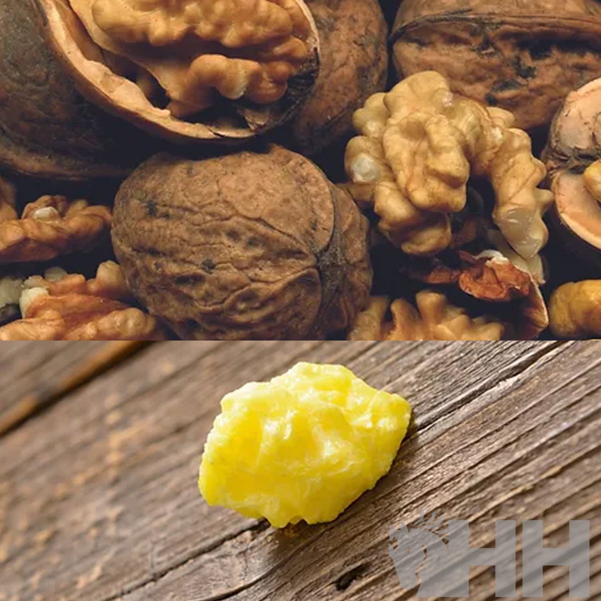 CHAMPU LEOVET POWER PARA CABALLOS DE CAPA OSCURA - Imagen 2