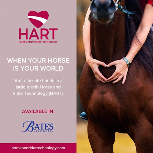 SILLA ING.DOMA CLASICA BATES DRESSAGE+ - Imagen 2