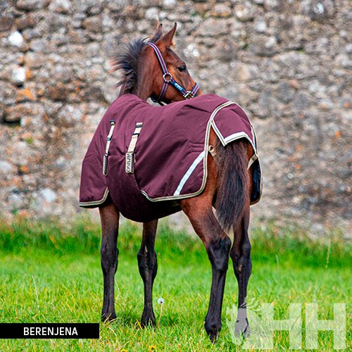 Ref 04927c