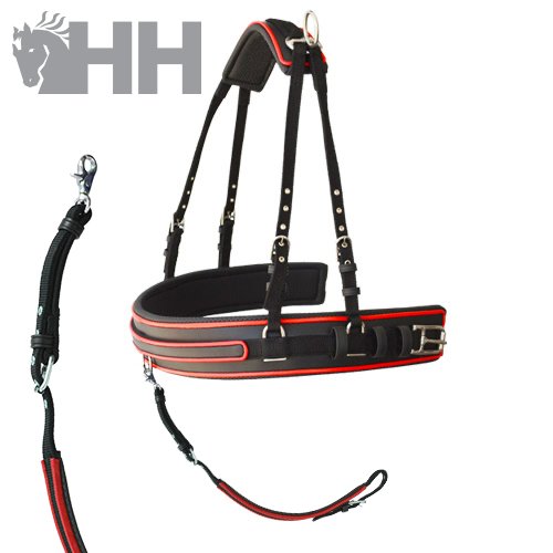 ENGANCHE LEXHIS HANOVER NYLON/PVC PECHERIN - Imagen 5