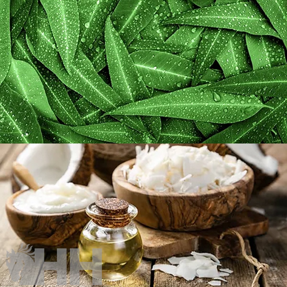 POMADA LEOVET HOOF LAB PARA CASCOS - Imagen 5