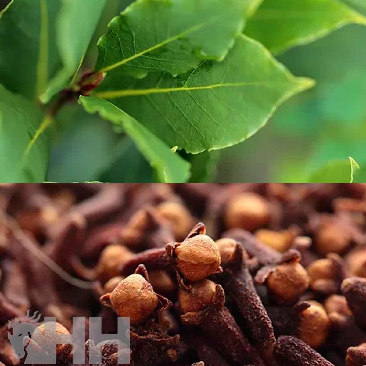 POMADA LEOVET HOOF LAB PARA CASCOS - Imagen 2