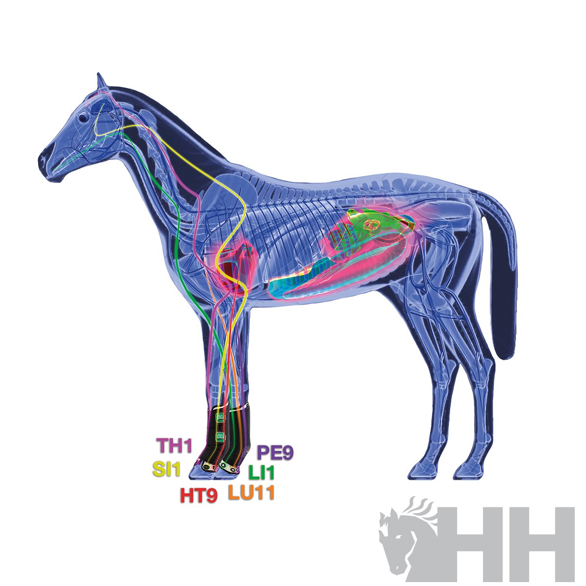 PROTECTOR ZANDONÃ THERAPEUTIC SUPPORT BOOT AIR DELANTERO (PAR) - Imagen 3