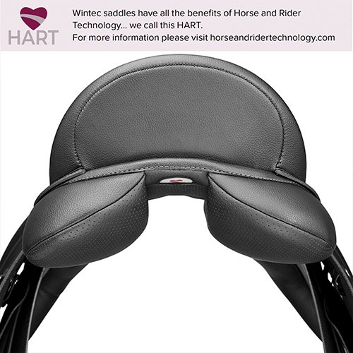 SILLA ING.DOMA CLASICA WINTEC 500 HART - Imagen 3