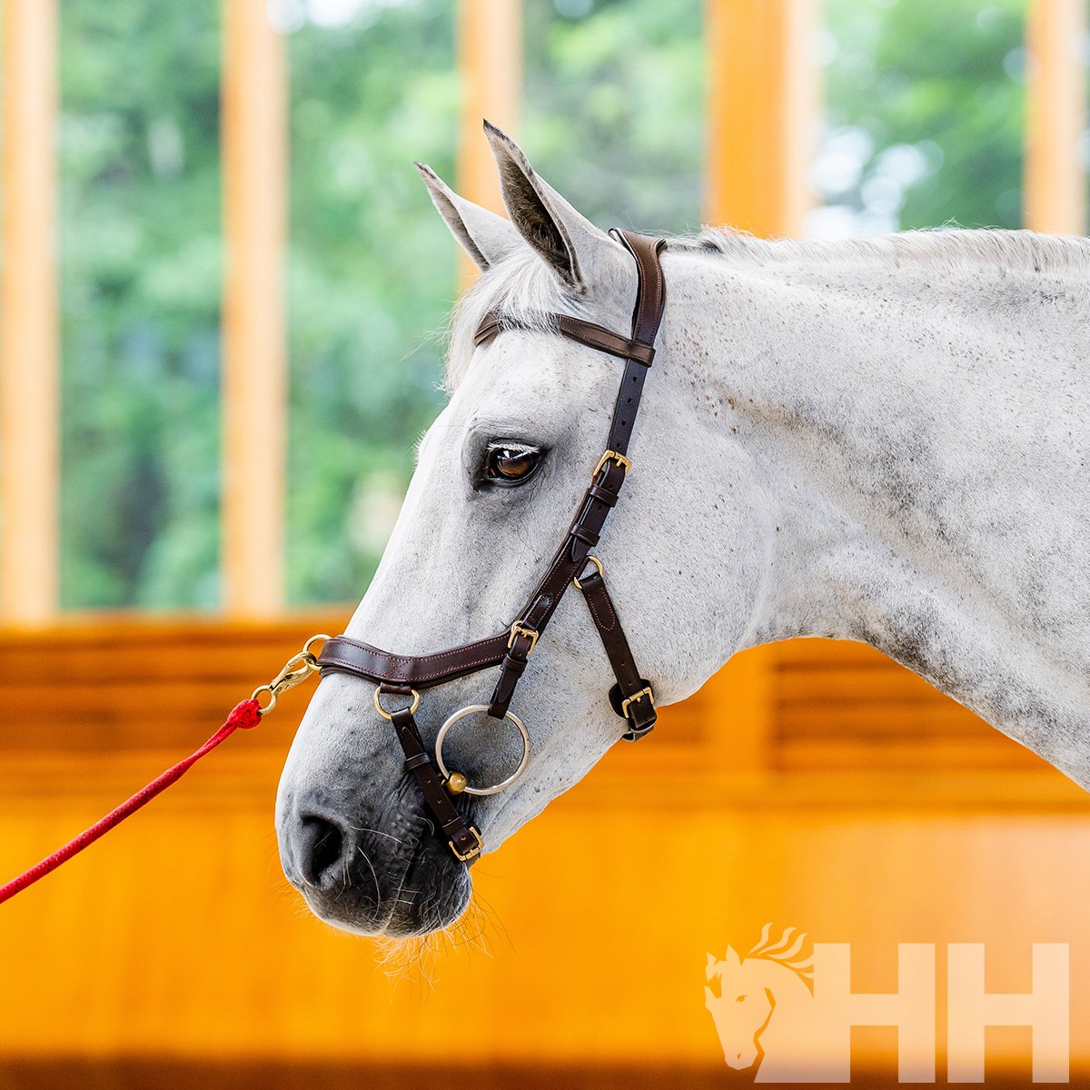 CABEZADA INGLESA HORSEWARE MICKLEM 2 MULTIBRIDLE (SIN RIENDAS) - Imagen 2