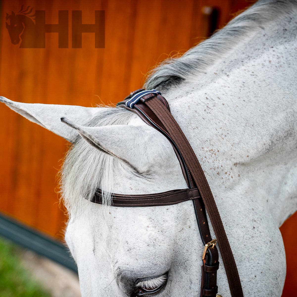 CABEZADA INGLESA HORSEWARE MICKLEM 2 MULTIBRIDLE (SIN RIENDAS) - Imagen 3