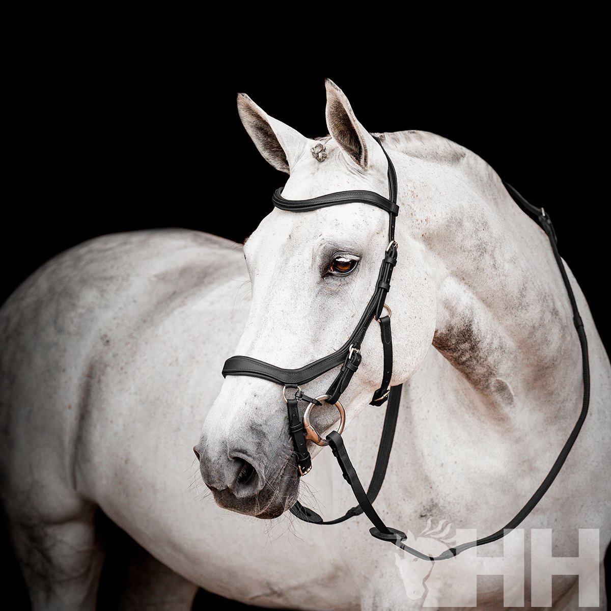 CABEZADA INGLESA HORSEWARE MICKLEM 2 COMPETITION BRIDLE (SIN RIENDAS) - Imagen 2