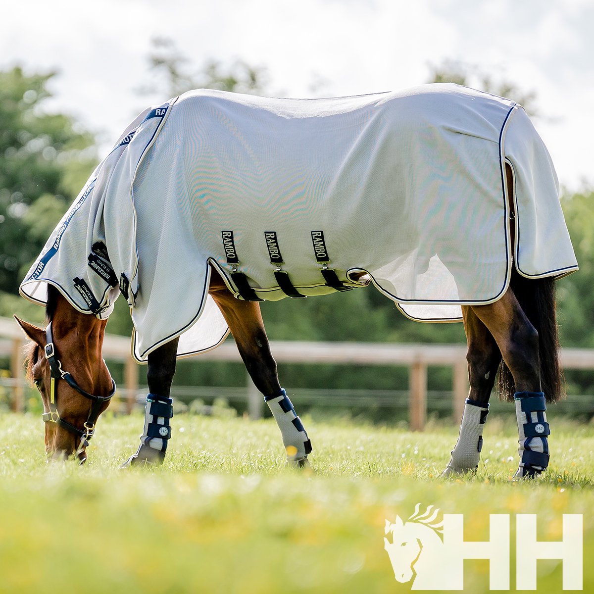 PROTECTOR HORSEWARE ANTIMOSCAS (JUEGO 4) - Imagen 4