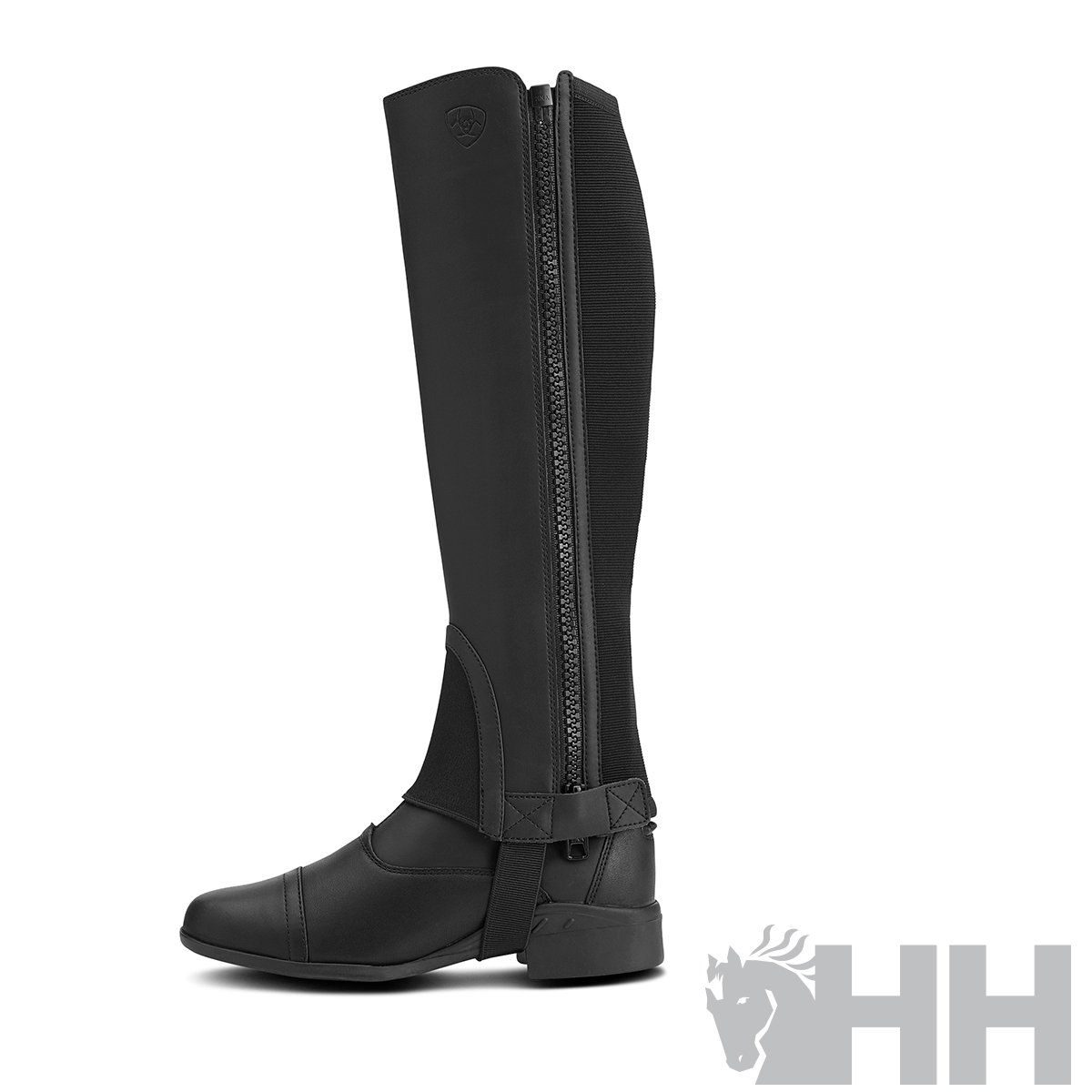 POLAINA ARIAT SCOUT (PAR) - Imagen 2