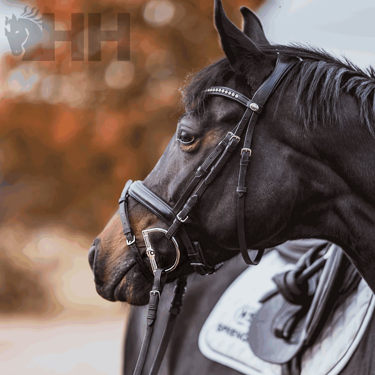 FILETE SPRENGER KK ULTRA ANILLA D 80mm - Imagen 2