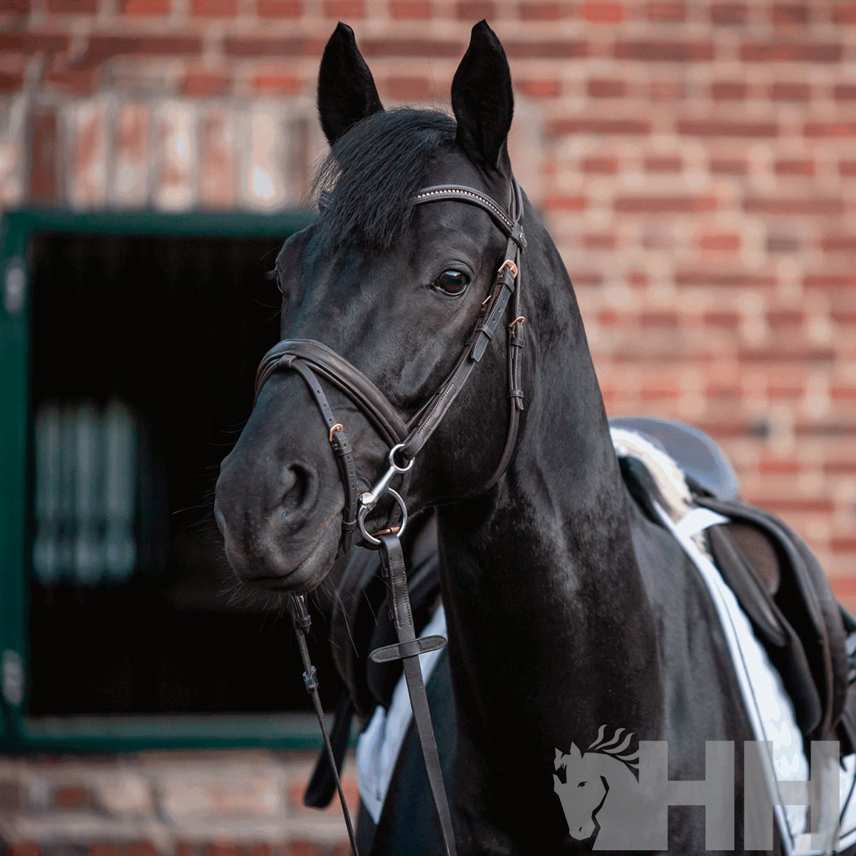 FILETE SPRENGER KK ULTRA BAUCHER ANILLA 45mm - Imagen 4