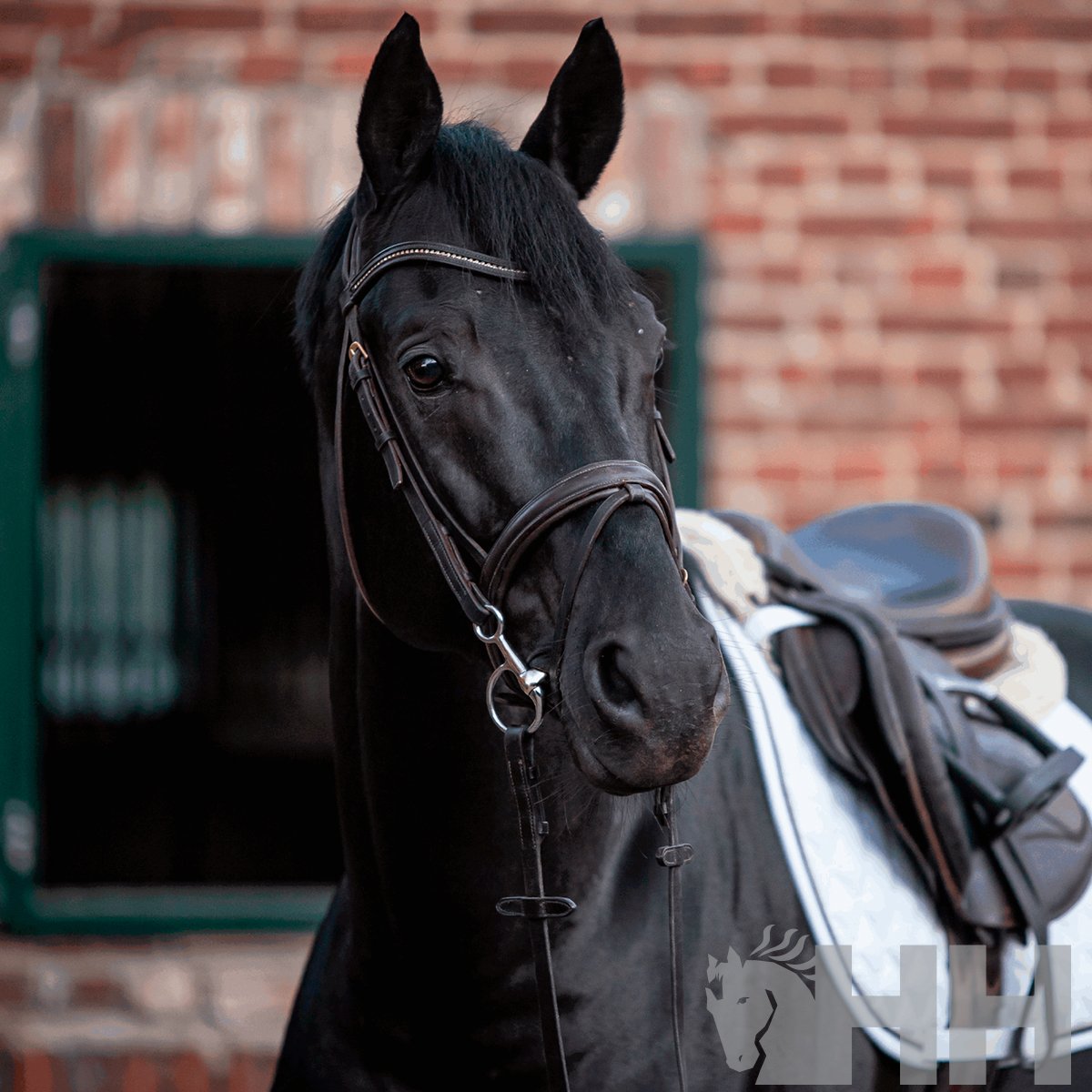 FILETE SPRENGER KK ULTRA BAUCHER ANILLA 45mm - Imagen 2