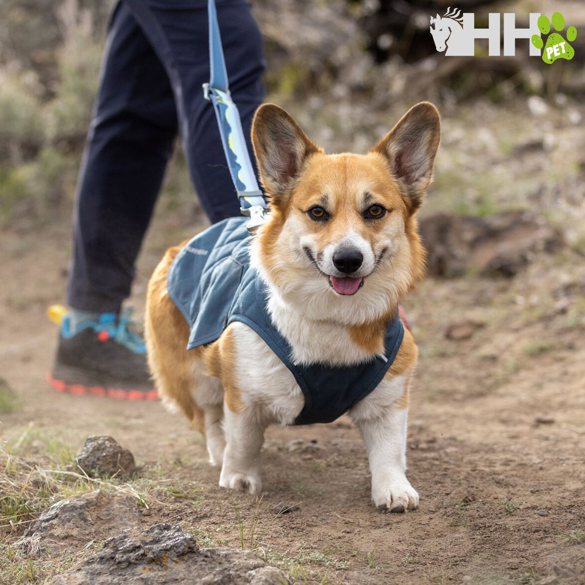 CHAQUETA RUFFWEAR PARA PERROS STUMPTOWN - Imagen 5