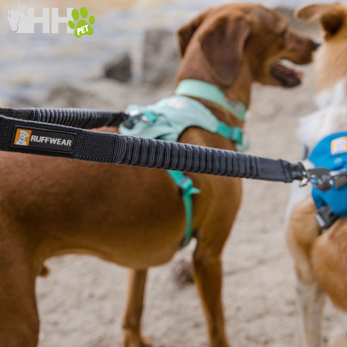 CORREA DOBLE RUFFWEAR PARA PERROS DOUBLE TRACK COUPER - Imagen 5
