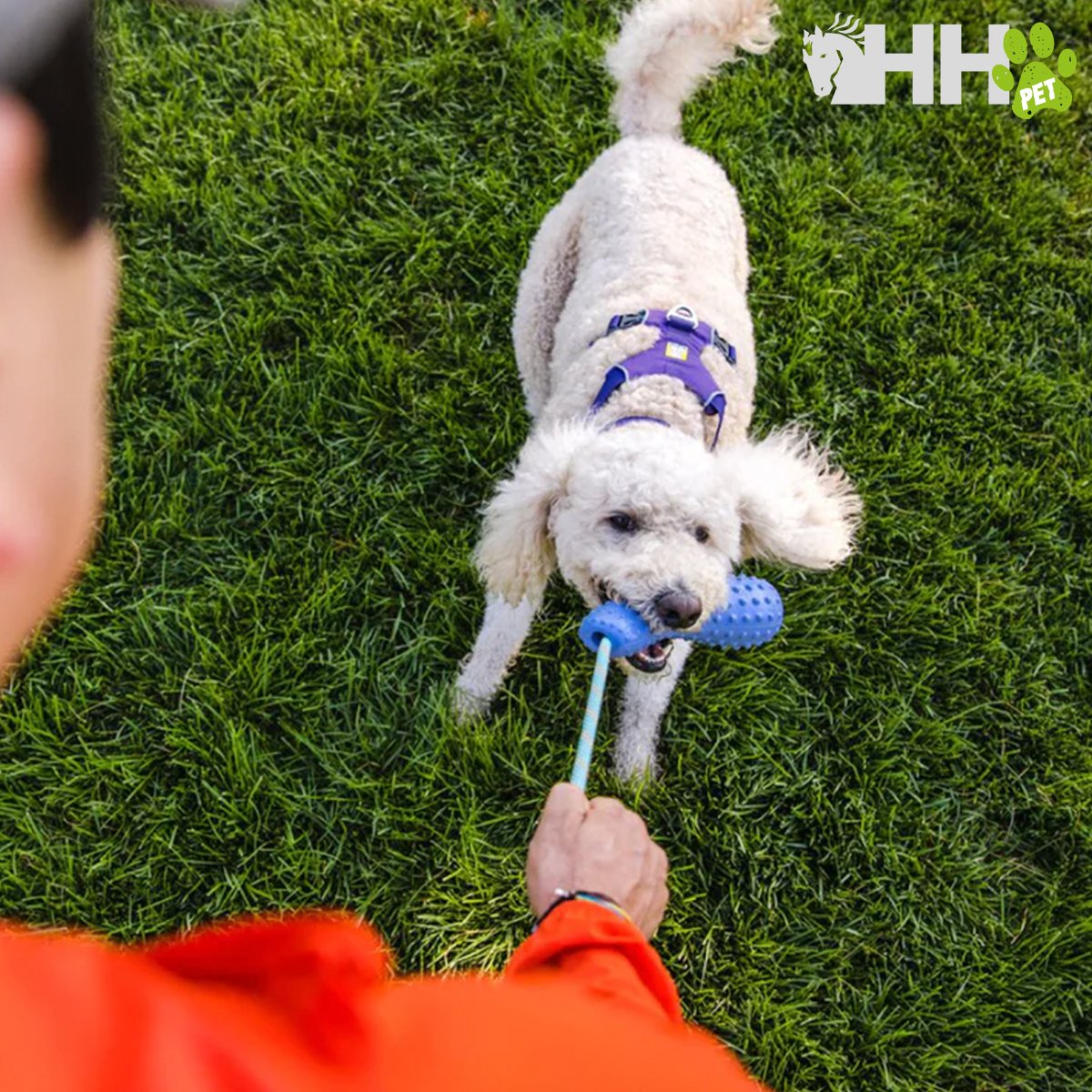 JUGUETE PARA LANZAR RUFFWEAR PARA PERROS GOURDO - Imagen 2