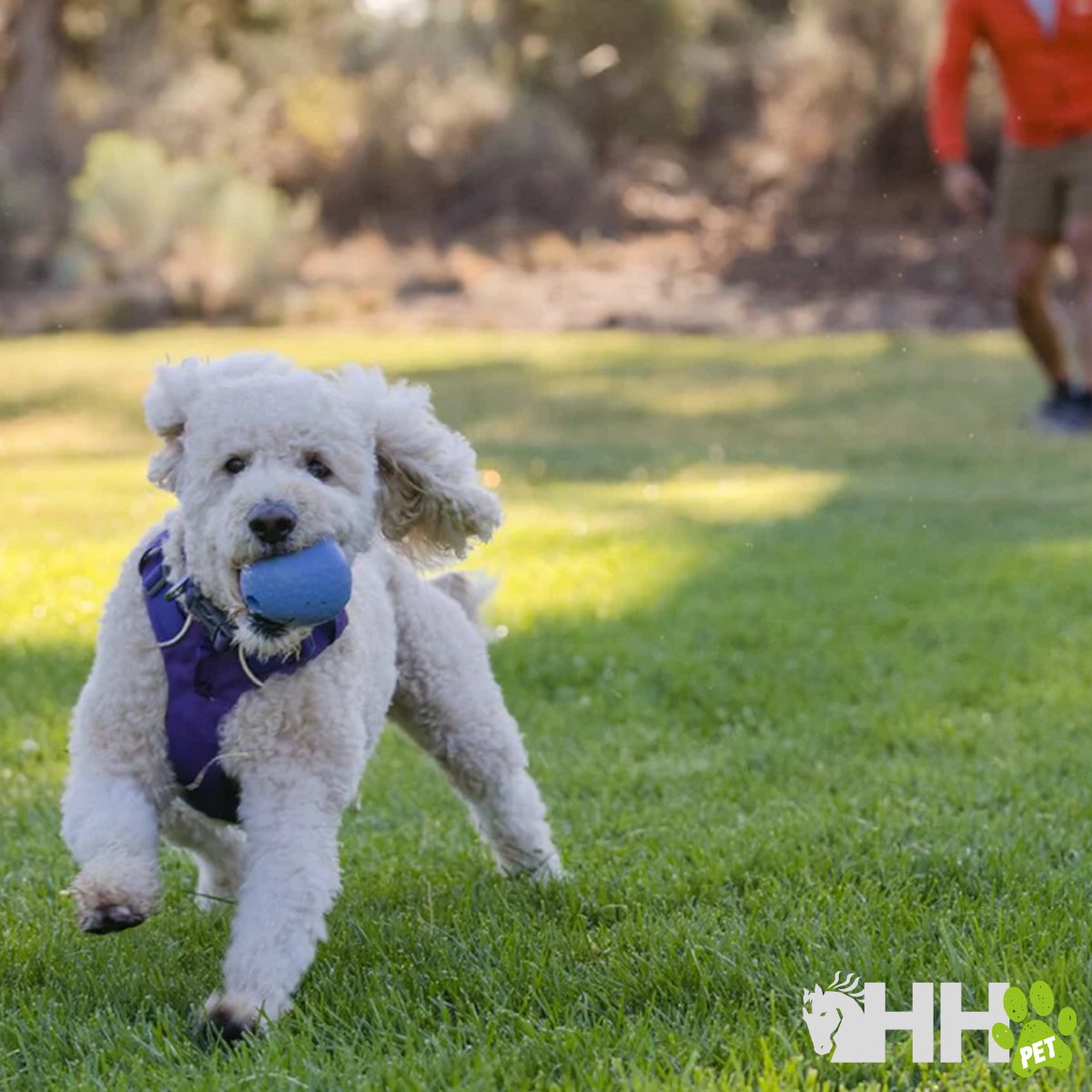 JUGUETE PARA LANZAR RUFFWEAR PARA PERROS HUCKAMA - Imagen 4