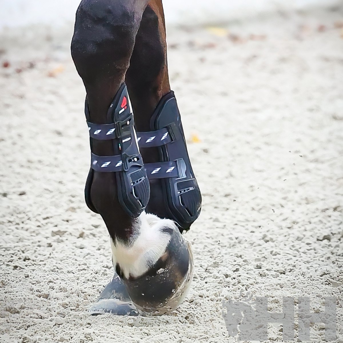 PROTECTOR ZANDONÃ CARBON PRO TENDON (PAR) - Imagen 2