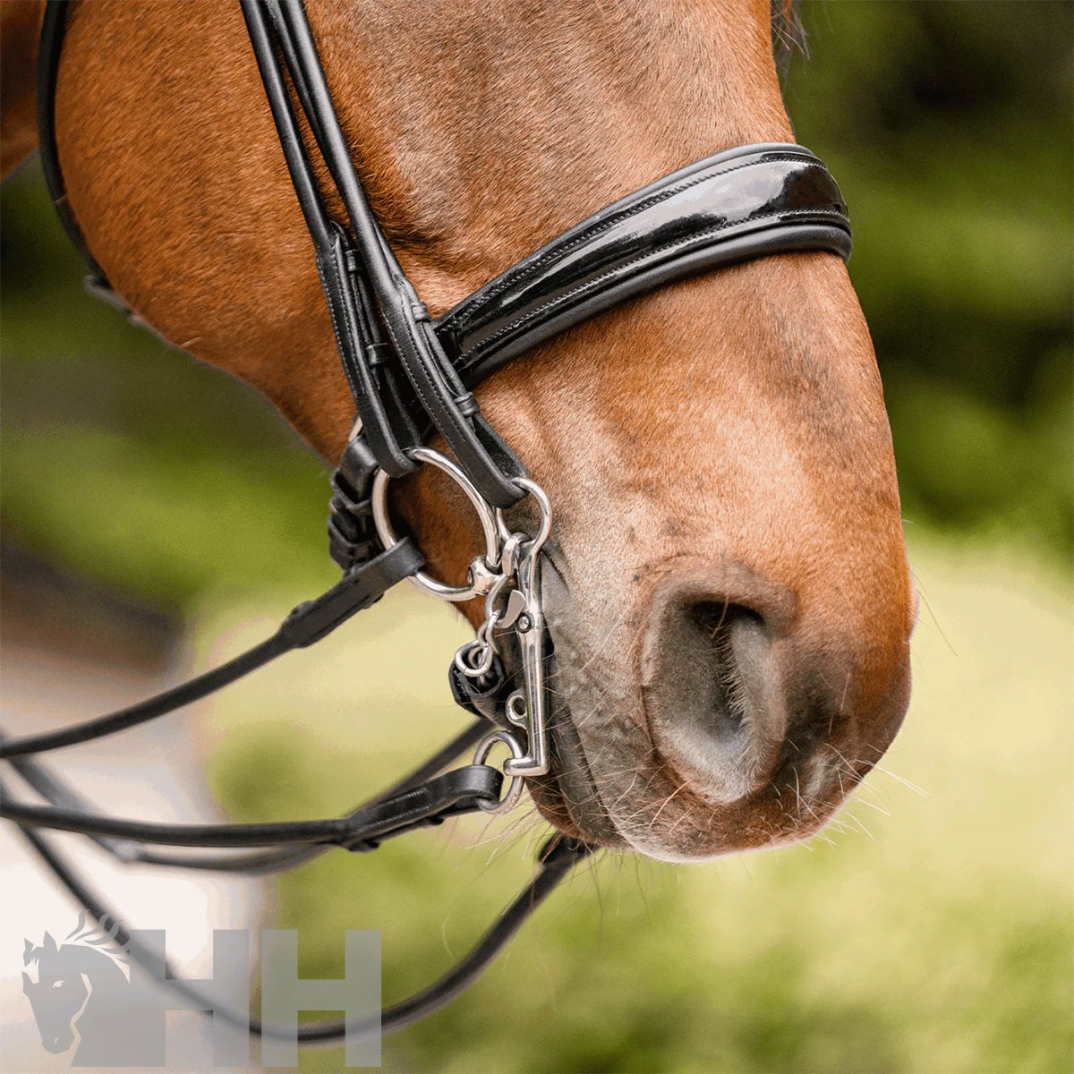 BOCADO SPRENGER KK DOMA PIERNA 5cm - Imagen 2