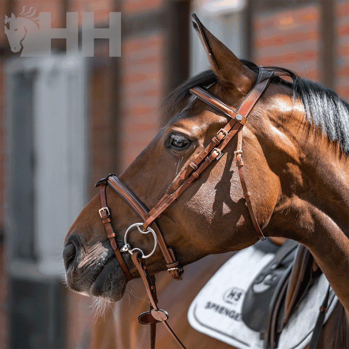 FILETE SPRENGER DYNAMIC RS MULTI RING ANILLA 70mm PARTIDO DOBLE - Imagen 4