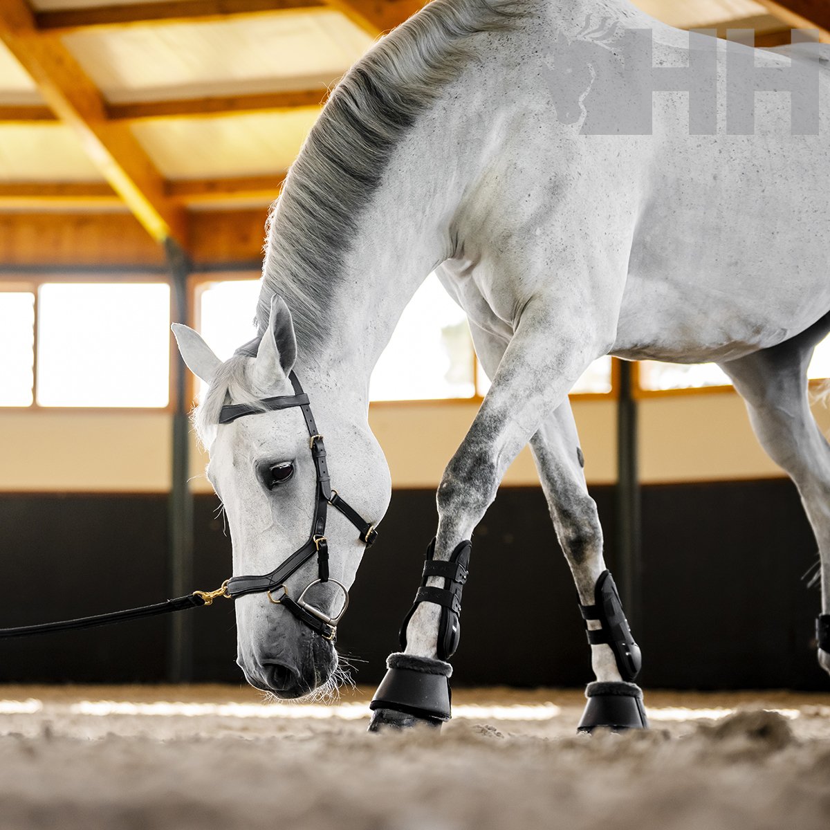 CABEZADA INGLESA HORSEWARE MICKLEM MULTI BRIDLE - Imagen 6
