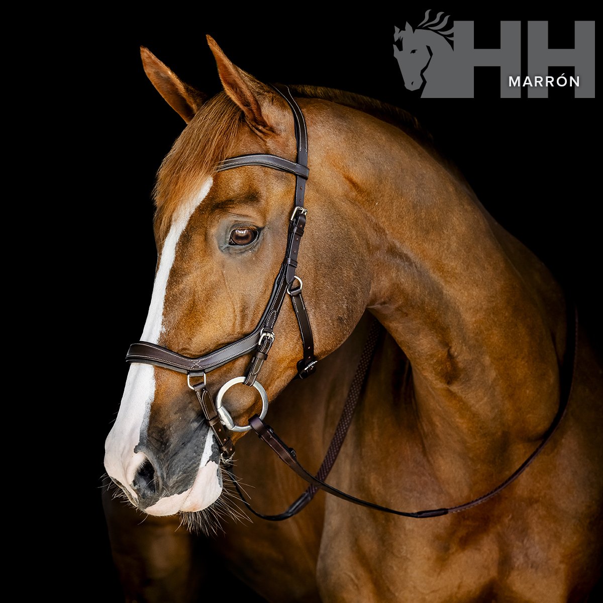 CABEZADA INGLESA HORSEWARE MICKLEM COMPETITION BRIDLE - Imagen 5
