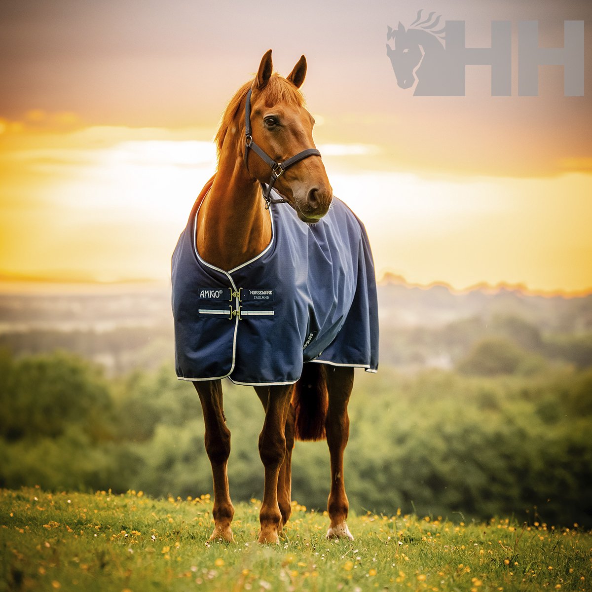 MANTA AMIGO RIPSTOP 900D PONY EXTERIOR MEDIUM (200g) - Imagen 4