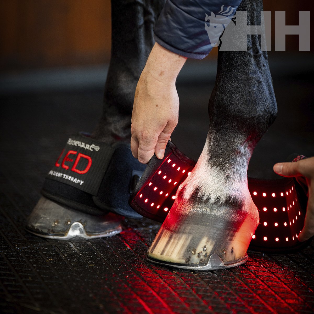 CAMPANA TERAPEUTICA HORSEWARE LED RED LIGHT - Imagen 2
