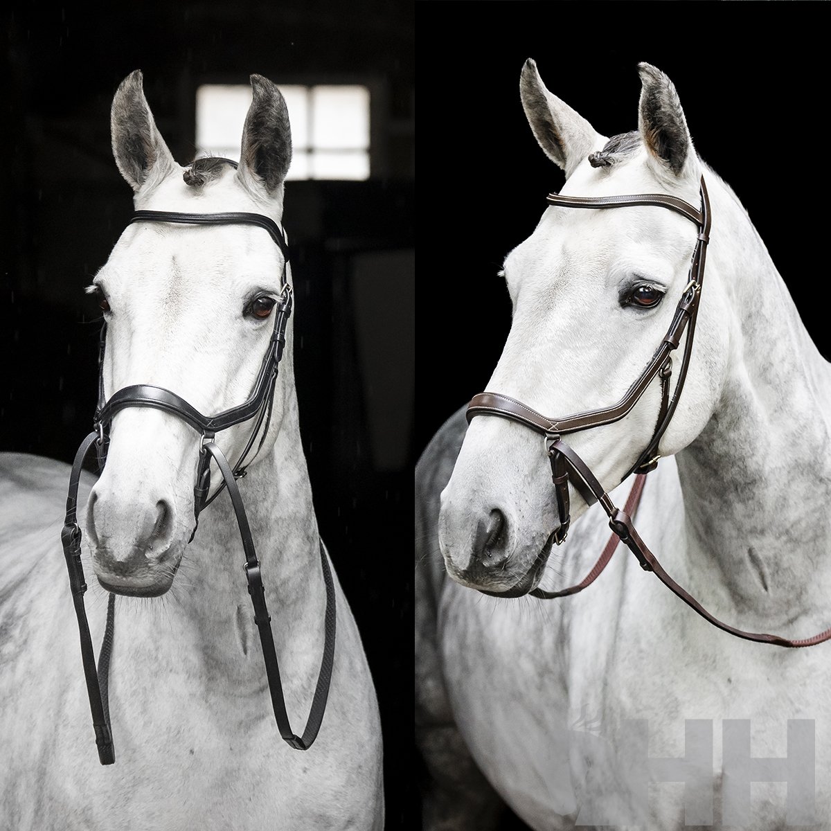CABEZADA INGLESA HORSEWARE MICKLEM BITLESS BRIDLE - Imagen 2