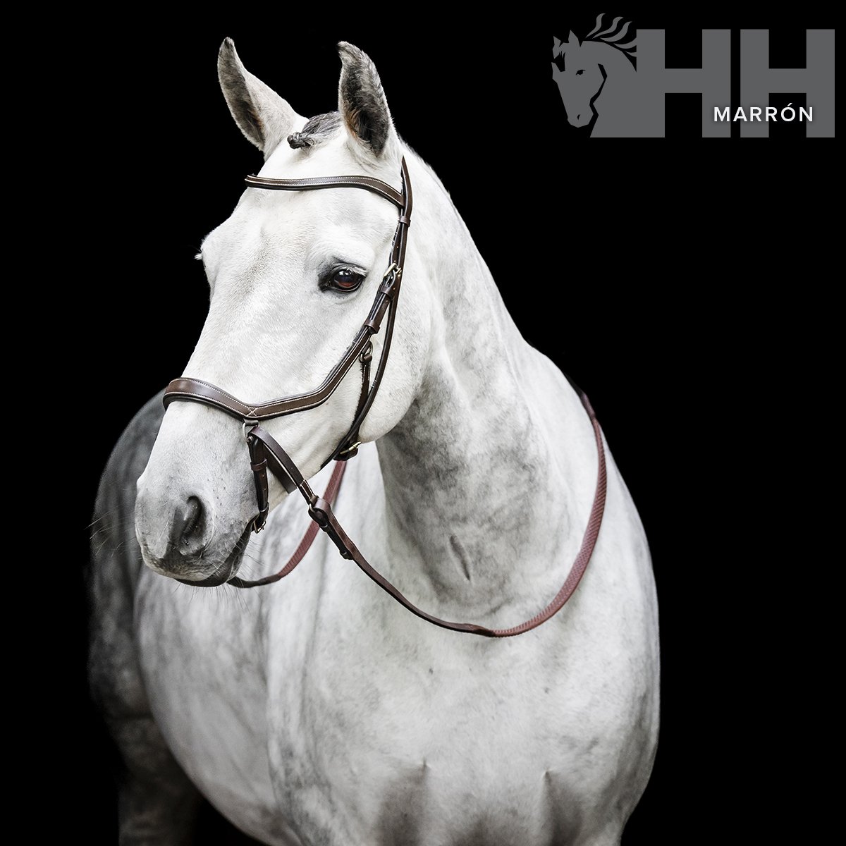 CABEZADA INGLESA HORSEWARE MICKLEM BITLESS BRIDLE - Imagen 5
