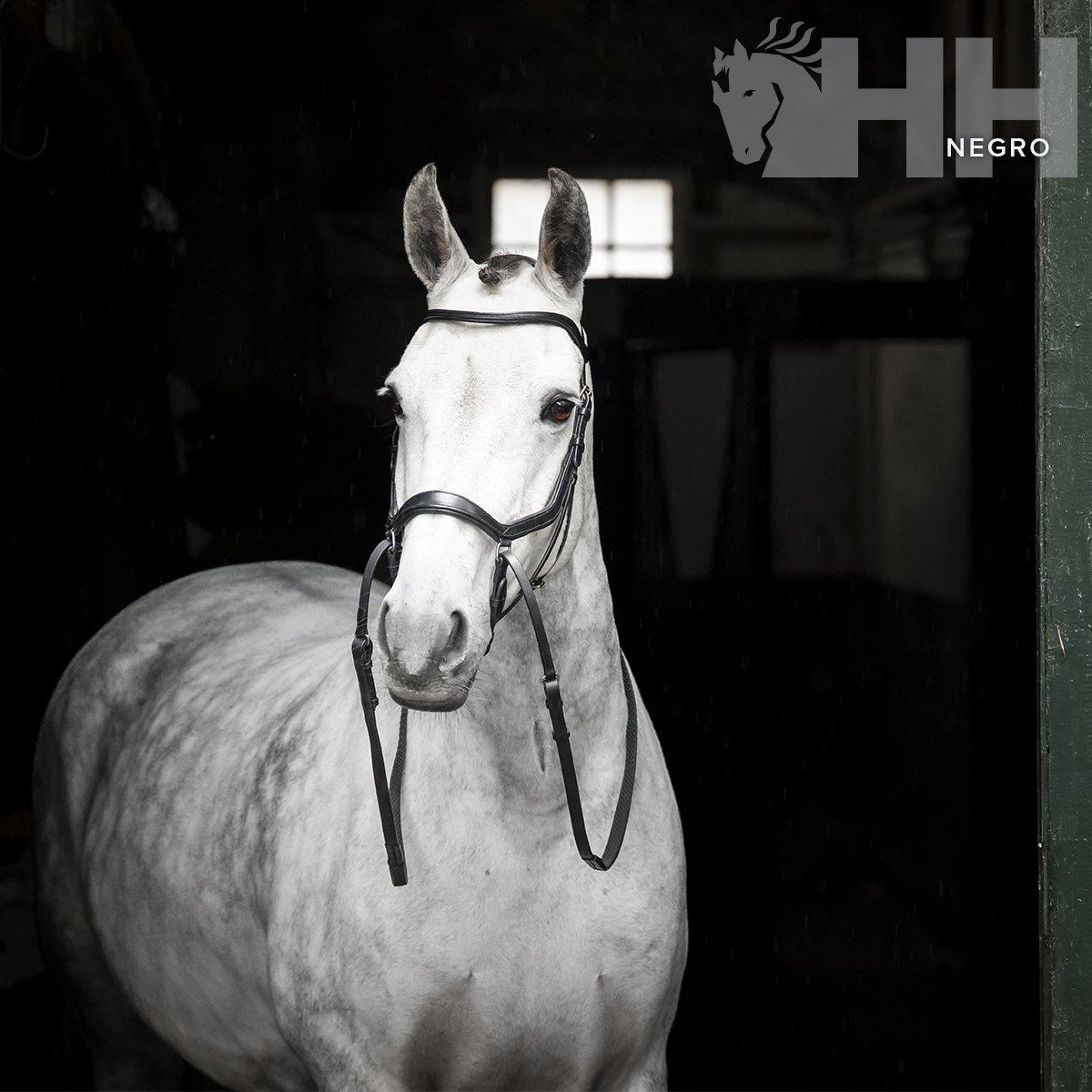 CABEZADA INGLESA HORSEWARE MICKLEM BITLESS BRIDLE - Imagen 4