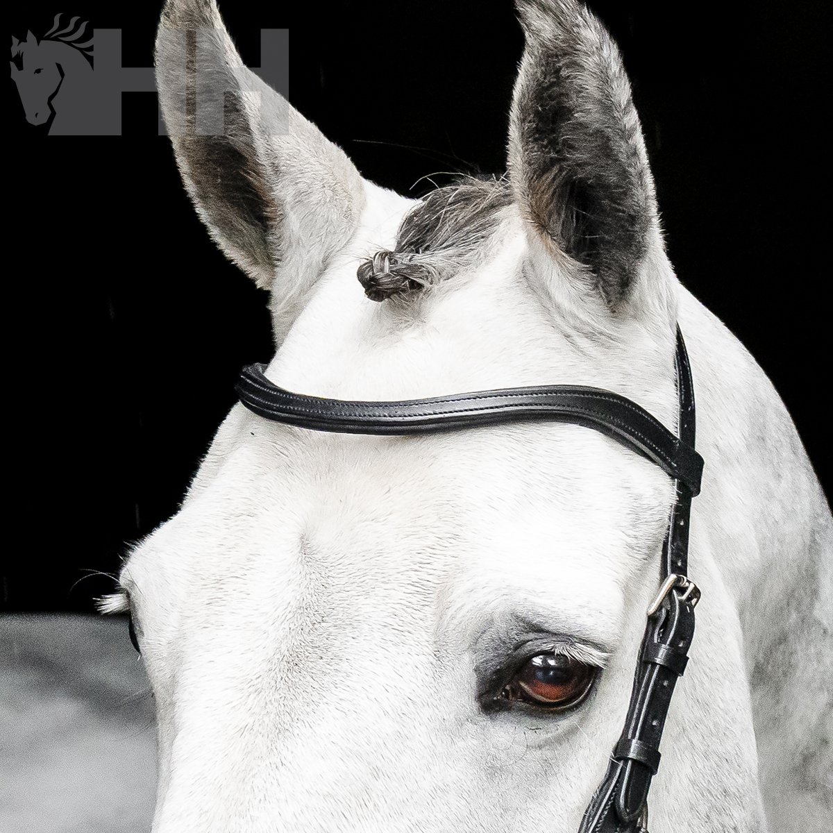 CABEZADA INGLESA HORSEWARE MICKLEM BITLESS BRIDLE - Imagen 7