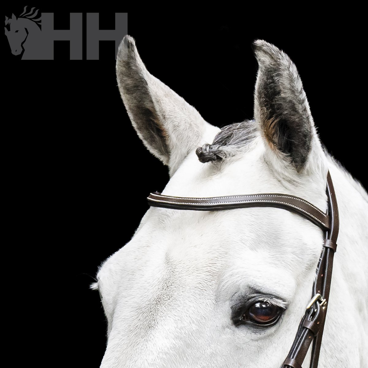 CABEZADA INGLESA HORSEWARE MICKLEM BITLESS BRIDLE - Imagen 6